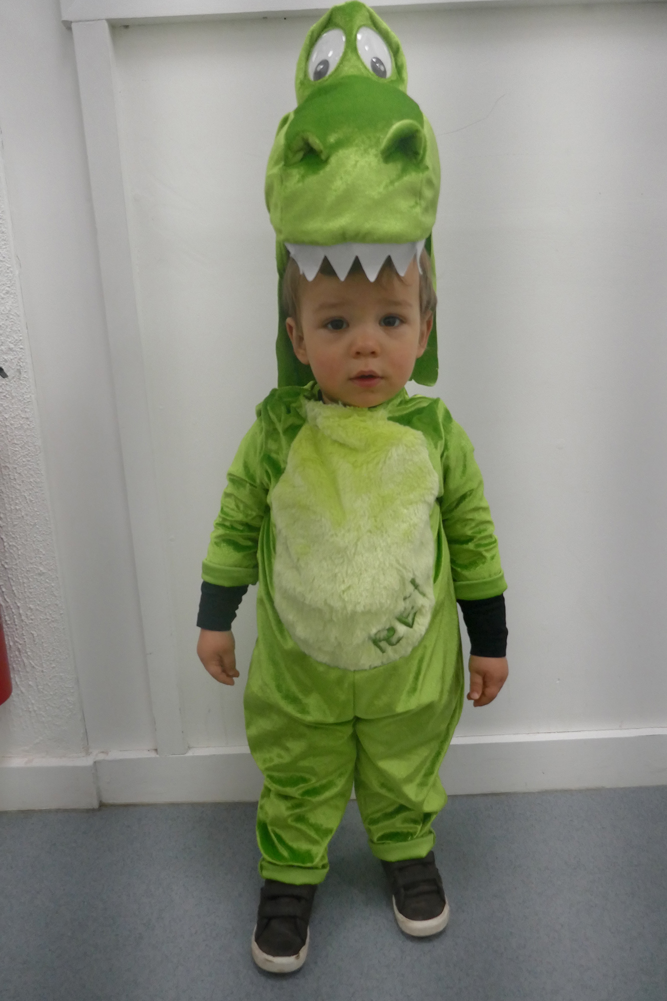 Child dressed as a Dinosaur